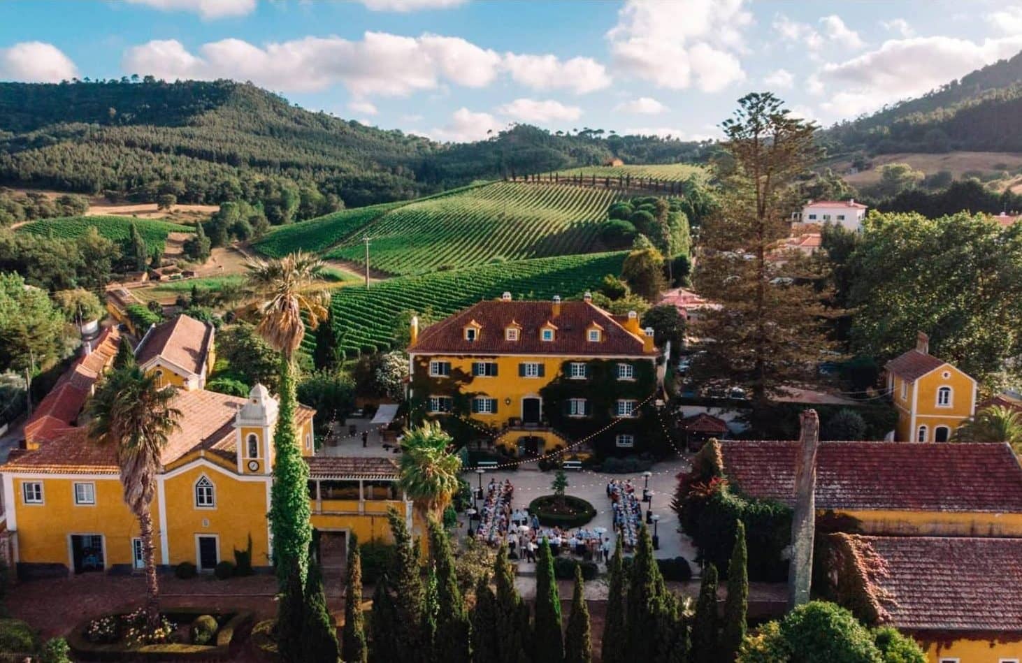 Visite privée exclusive d'un vignoble de la région de lisbonne pour déguster des vins portugais de lisbonne