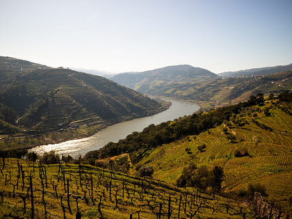 Guides des vins du Portugal avec la région viticole de la vallée du Douro