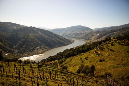 Guides des vins du Portugal avec la région viticole de la vallée du Douro