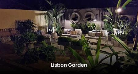 Capture d’écran 2020-07-01 à 10.40.19