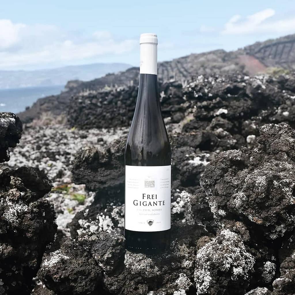 Le guides des vins portugais avec le vin de Pico de l'archipel des Açores.