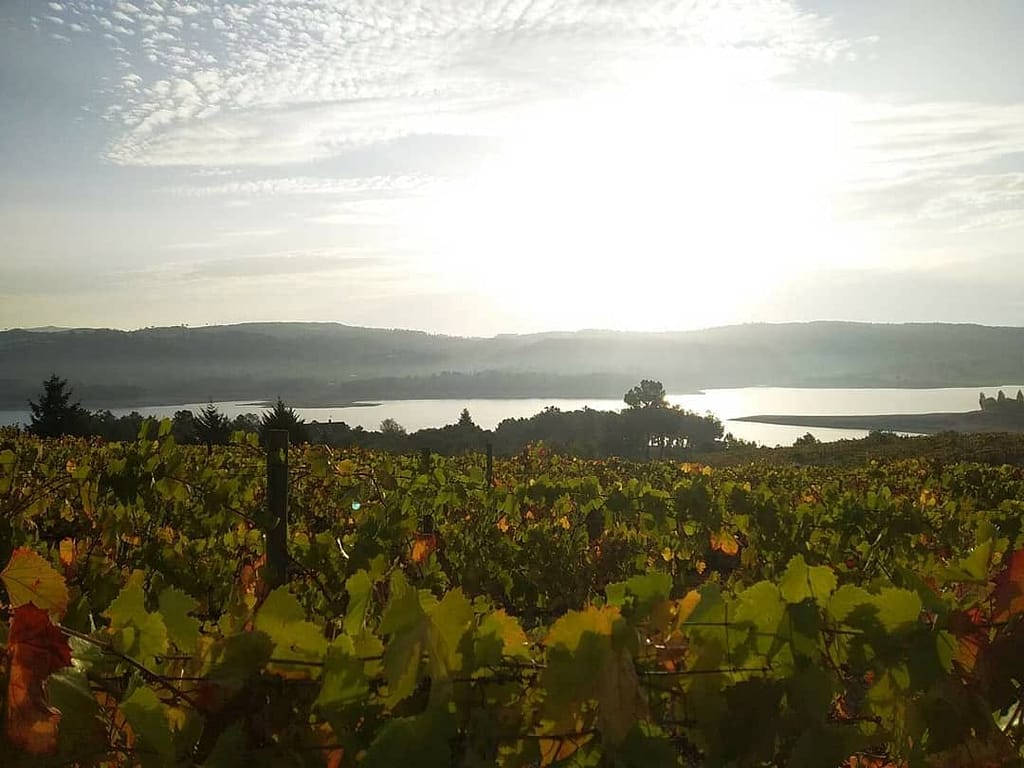 Guides des vins du Portugal avec la région viticole Tavora et Varosa