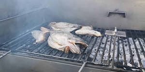 The best fresh fish in the city on the grill is one of the best restaurants in Lisbon