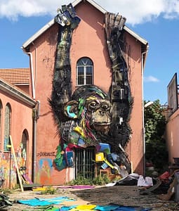 Bordalo II, street-art artist in Lisbon