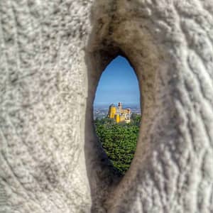 Pena palace, famous palace of sintra seen from the heights of the forest massif
