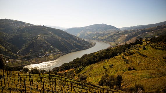Portugal wine guide with the Douro Valley wine region