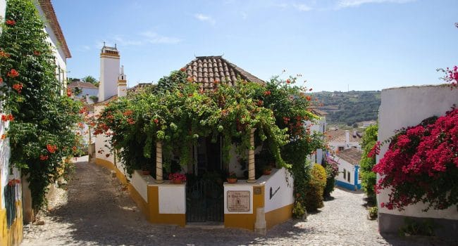 Obidos is the perfect tour with a certified guide around Lisbon