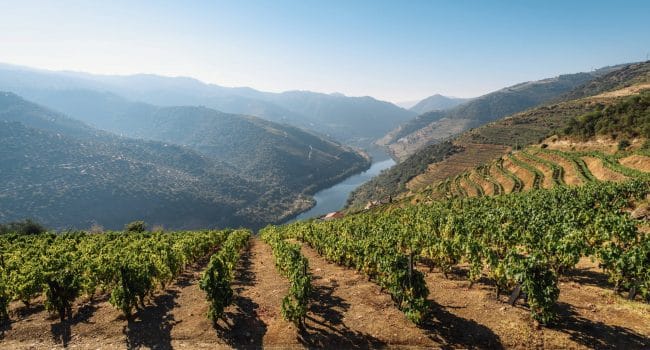 The Douro Valley, a must-see during a road trip in Portugal