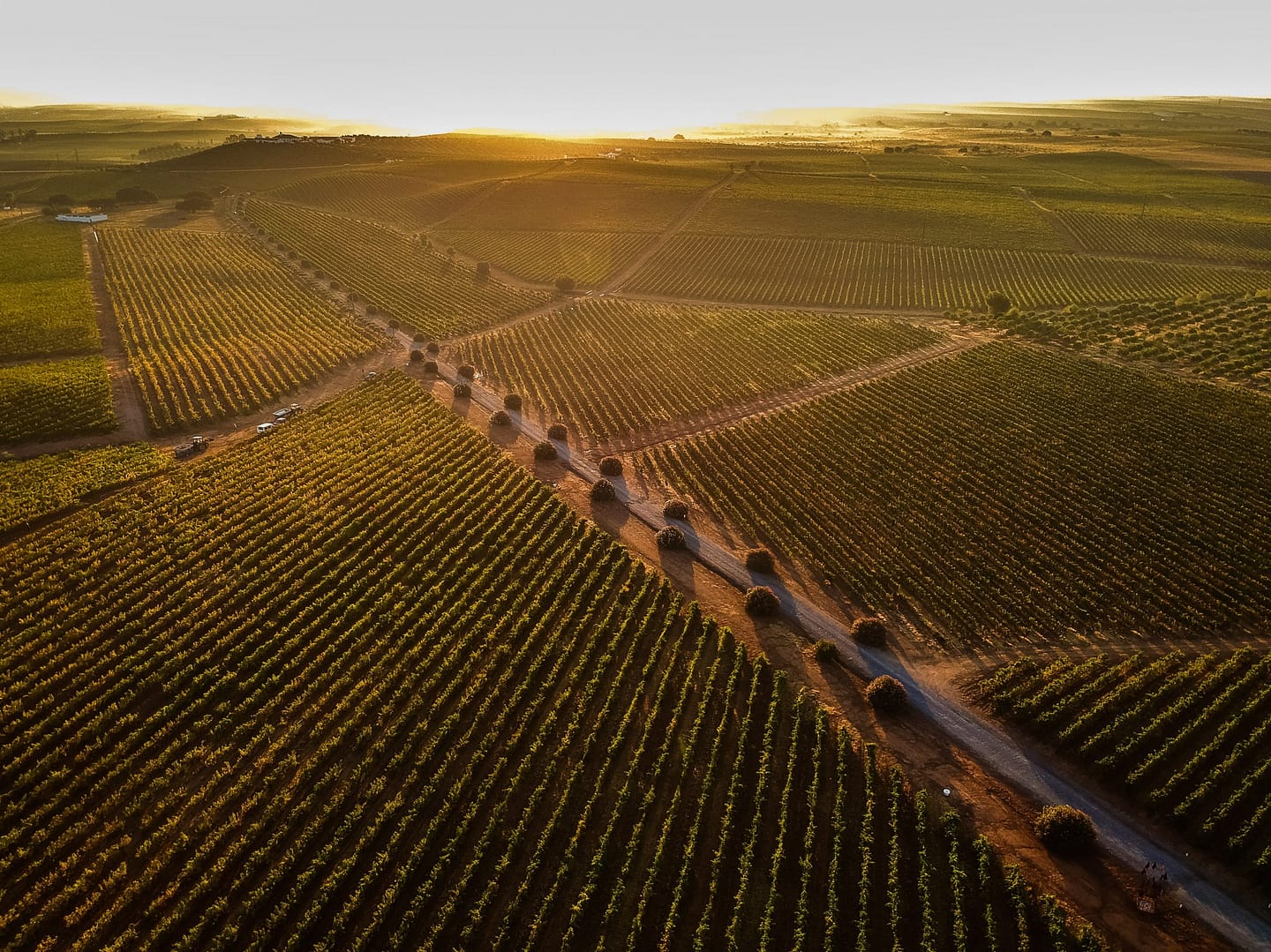 Alentejo wines represented by Herdade Grande at the second Tchin Tchin tasting in Lisbon