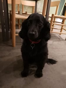 Vino Vero is an Italian wine bar in Lisbon offering Italian and European wines and delicious food to share.