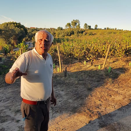 José winemaker of dao in the quinta do perdigao