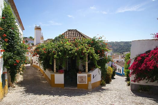 Obidos is the perfect tour with a certified guide around Lisbon